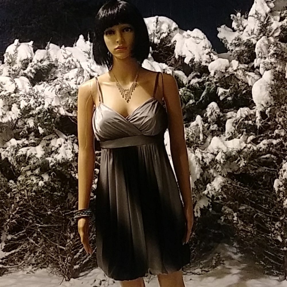 Black and silver dress